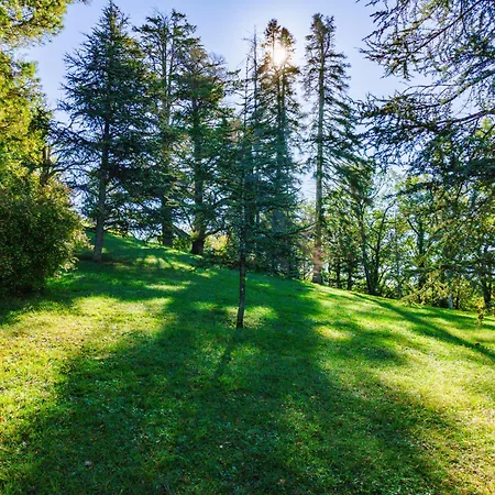 Πανσιόν Chateau D'encassagnard Castin