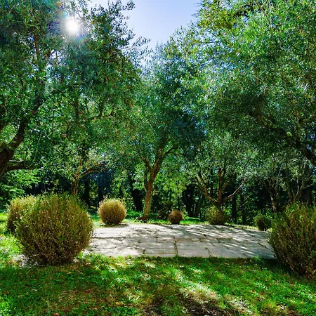 בית הארחה Chateau D'encassagnard 4*