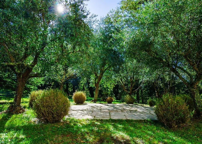 Pensionat Chateau D'encassagnard 4*