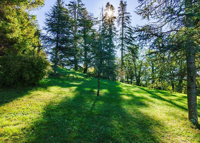 Pensionat Chateau D'encassagnard Castin